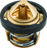QuadBoss 04-05 Polaris ATP 500 Thermostat