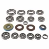 QuadBoss 17-19 Polaris ACE 500 Transaxle Bearing Kit