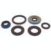 QuadBoss Oil Seal Set