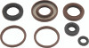 QuadBoss Oil Seal Set