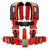 2" 5-Point Harness Seat Belt | 50 Caliber Racing