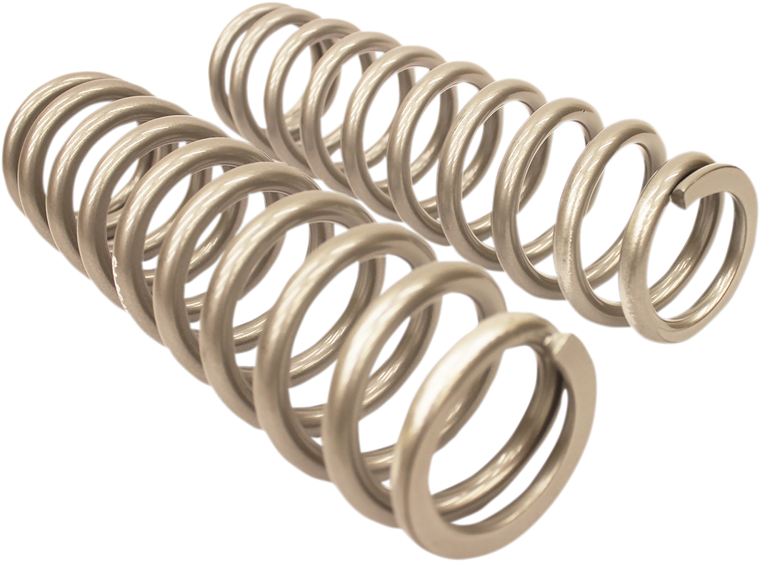 HIGH LIFTER Shock Springs - Rear - Silver 79-13785