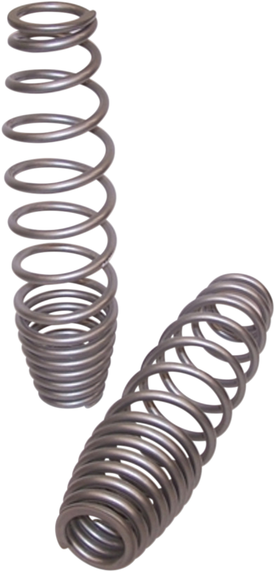 HIGH LIFTER Shock Springs - Front - Silver 79-13814