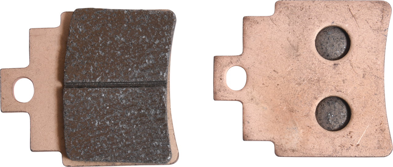 ALL BALLS Sintered Brake Pads - Rear Right 18-8003