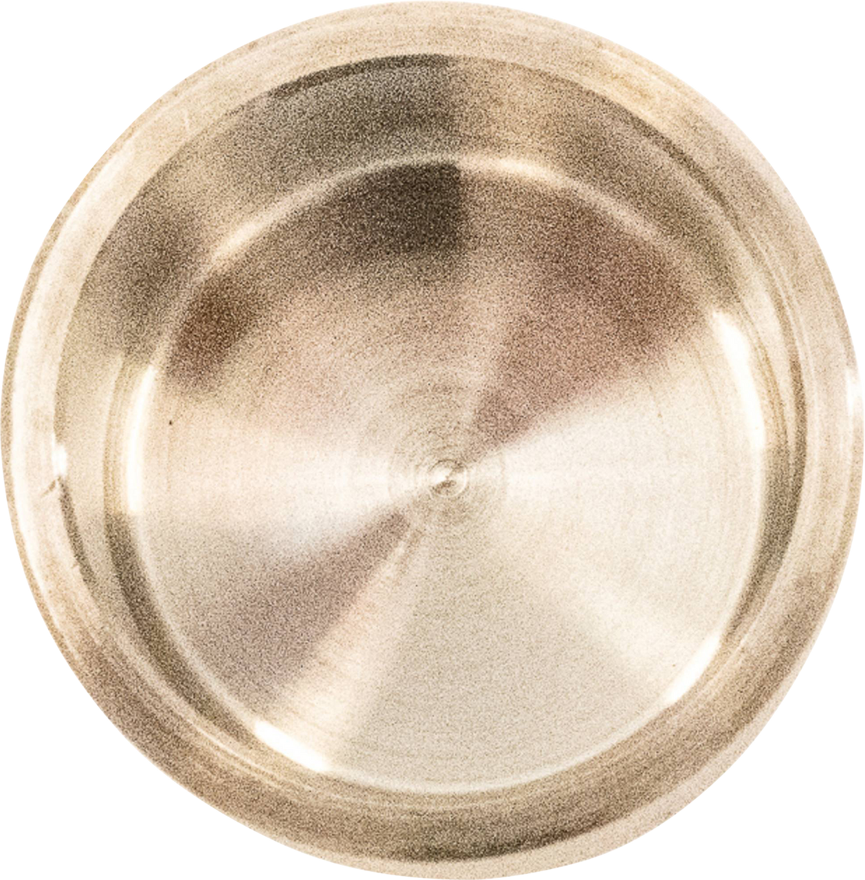 ALL BALLS Brake Caliper Piston - Honda 18-9048