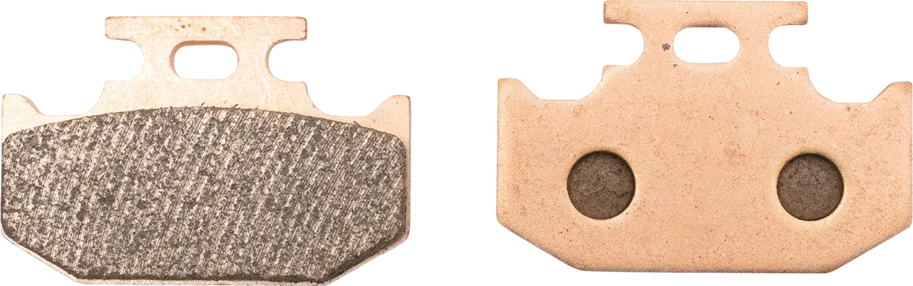 ALL BALLS Sintered Brake Pads - Parking Brake 18-8055