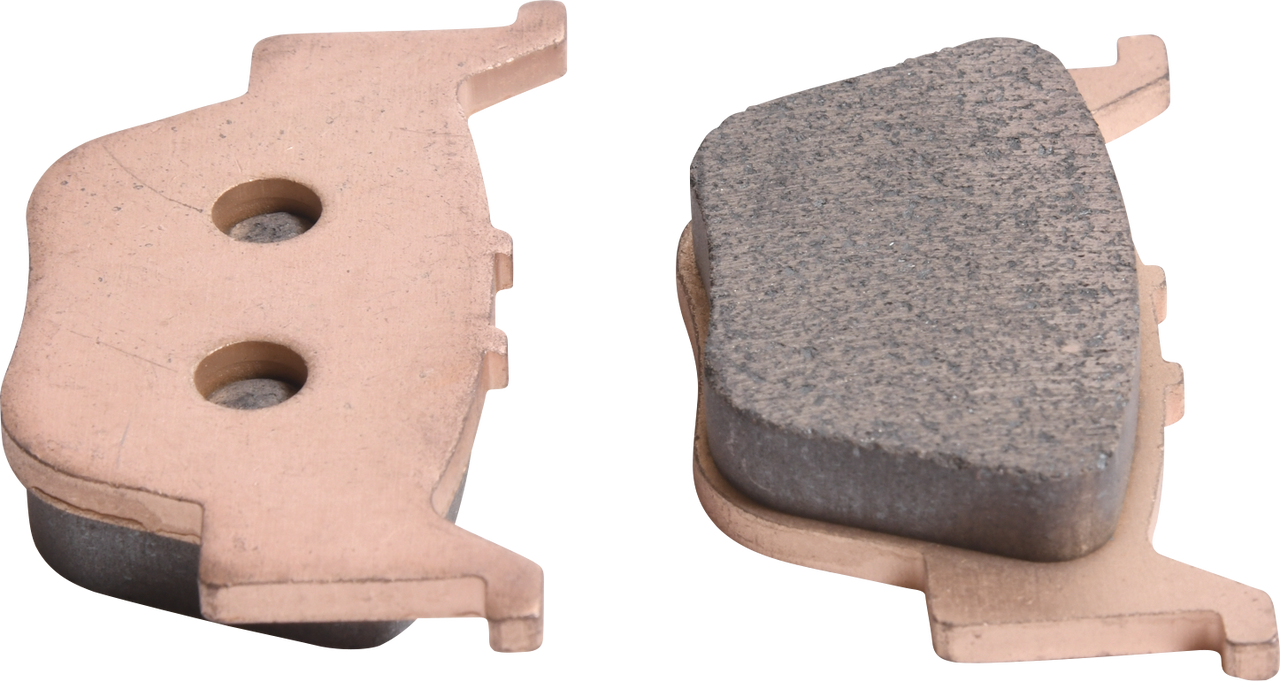 ALL BALLS Sintered Brake Pads - Rear Right 18-8037