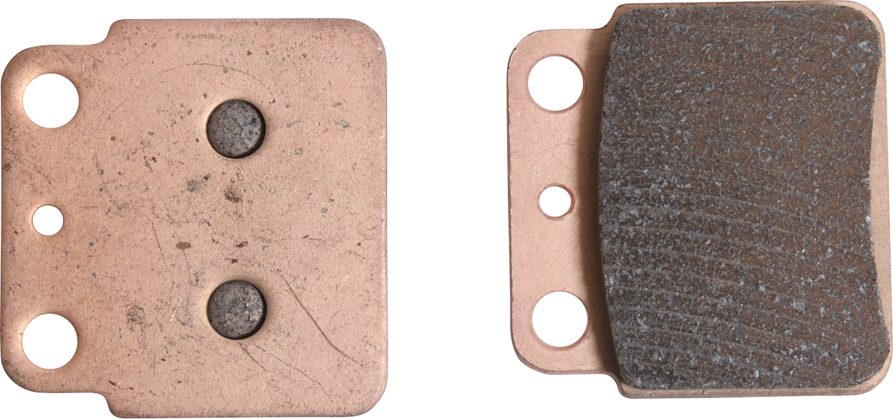 ALL BALLS Sintered Brake Pads - Rear Right 18-8022