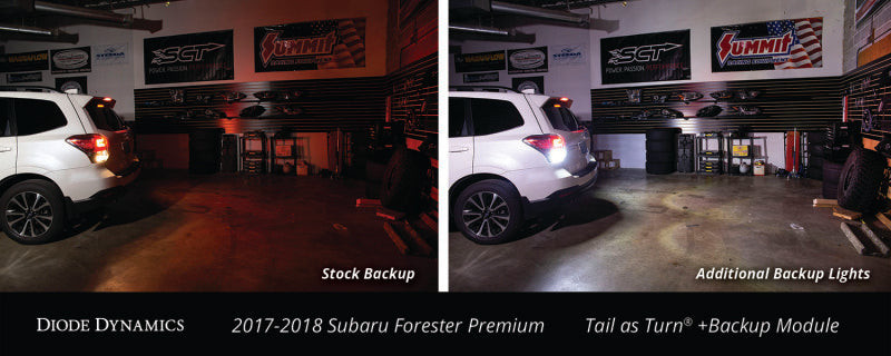 Diode Dynamics 17-18 Subaru Forester Premium (USDM) Tail as Turn +Backup Module Stage 2