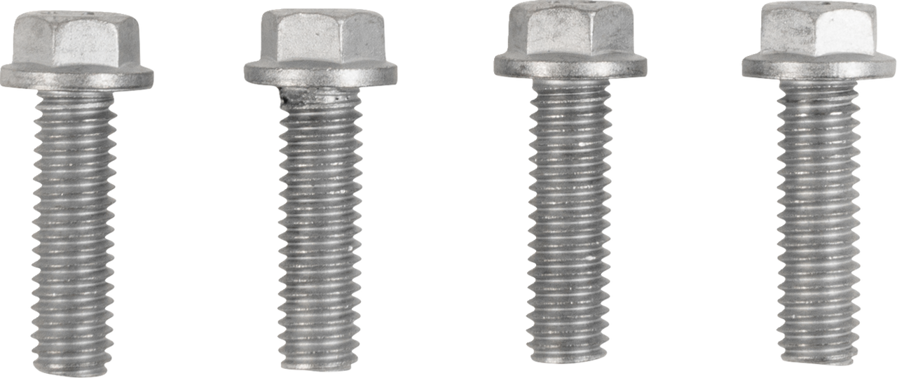 MOOSE OFFROAD Radiator Guards - Silver - Triumph 12-2024