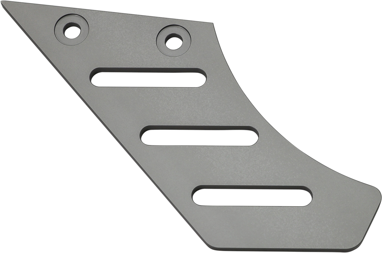 Chain Guard Kit `21 Pan America