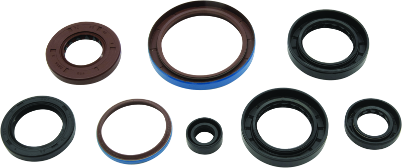 QuadBoss 12-14 Arctic Cat 550 4x4 EFI Oil Seal Set