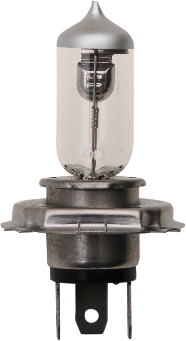 BRITE-LITES Bulb - H-4 Halogen - 10 Pack BL-43C60