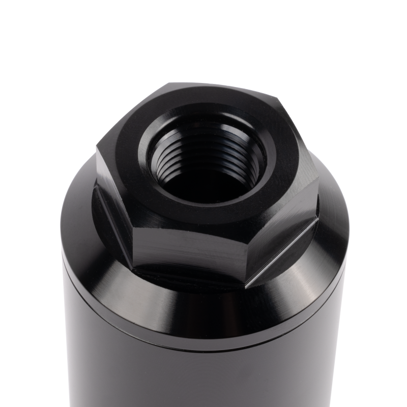 AEM 10 Micron Fuel Filter