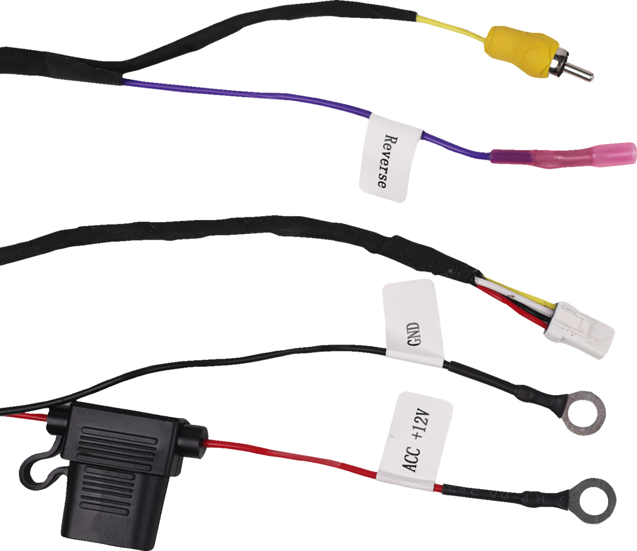 MB QUART Camera Kit - Rear MBQ-CAM-1