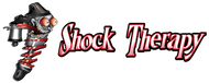 Shock Therapy