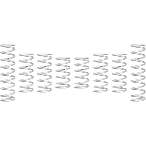 Polaris RZR Pro R 4 Fox Stage 3 Spring Kit | Eibach