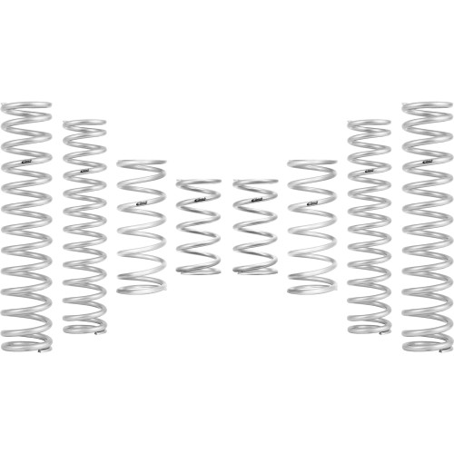 Can Am Maverick R Stage 1 Spring Kit | Eibach