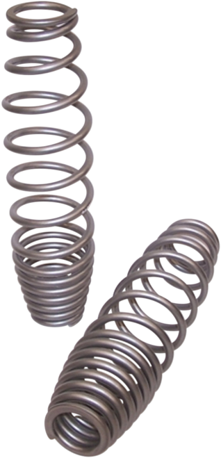HIGH LIFTER Shock Springs - Front - Silver 79-13814