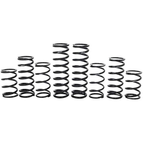 Polaris RZR Turbo R 4 Dynamics Stage 1 Spring Kit