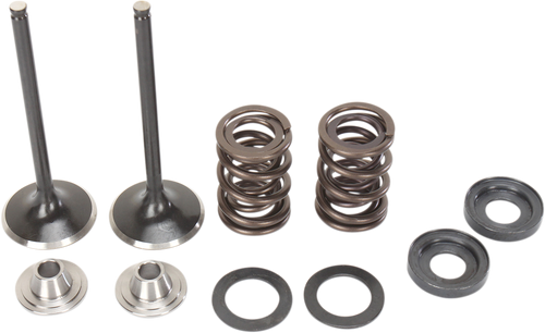 MOOSE OFFROAD Valve and Spring Kit - KTM RSF Engine 400 cc - 560 cc M96-96360