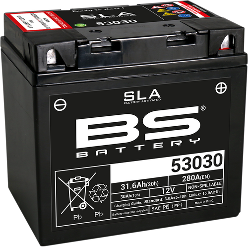 BS BATTERY Battery - 53030 300880