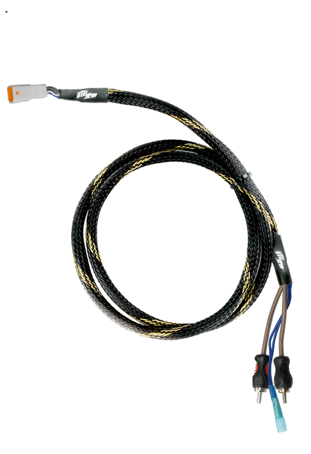 20' RCA Harness