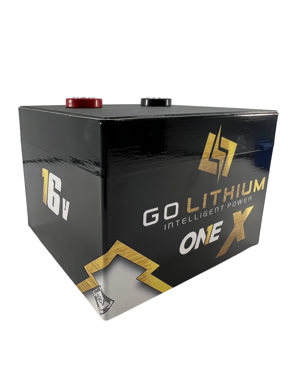 Go Lithium ONE X 16v Racing Battery, 3800 Cranking Amps, With Charger  (Free Shipping)