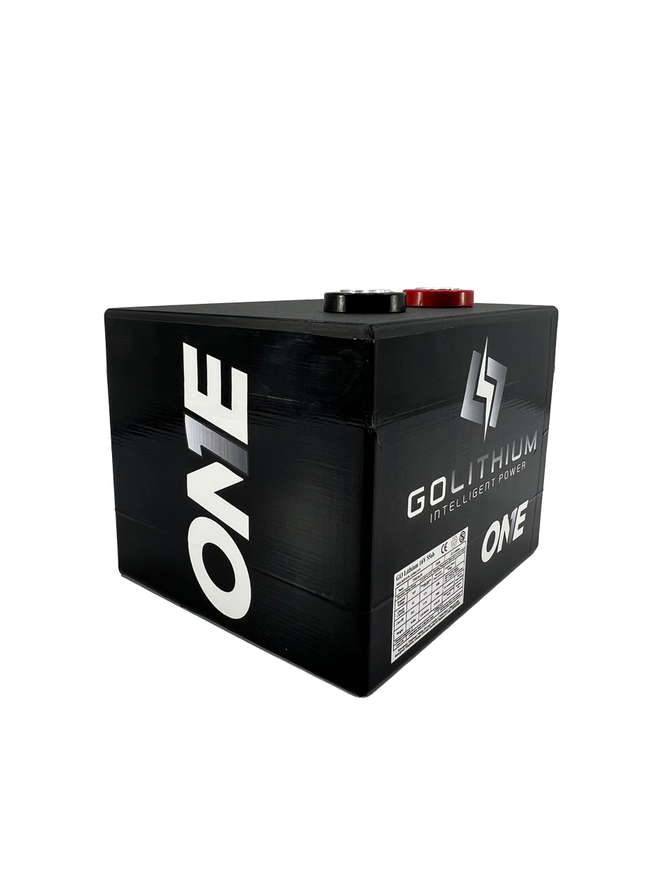 Go Lithium ONE DIRT 16v Go Lithium Racing Battery, 3200 Cranking Amps, 55 Amp Hours / WITH CHARGER  (Free Shipping)
