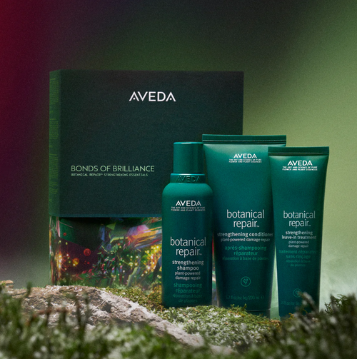 Bonds of Brilliance Holiday Set