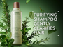 Aveda Rosemary-Mint Shampoo 250ml