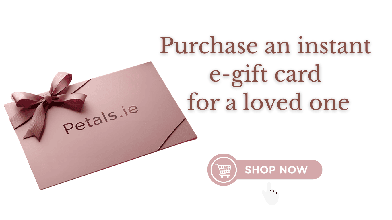 gift cards for petals.ie that retail in skincare and haircare. Brands like Aveda, dermalogica, clarins, image skincare, k18, color wow, olaplex, biabelle, the belle brush, kerastase and more