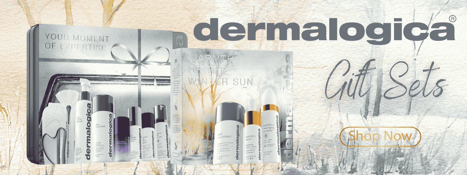 Dermalogica gift sets, Dermalogica skincare sets, Dermalogica holiday sets, Dermalogica Christmas gifts, professional skincare gift set, Dermalogica starter kits, Dermalogica value sets, clear skin set, glowing skin gift, Dermalogica bestsellers