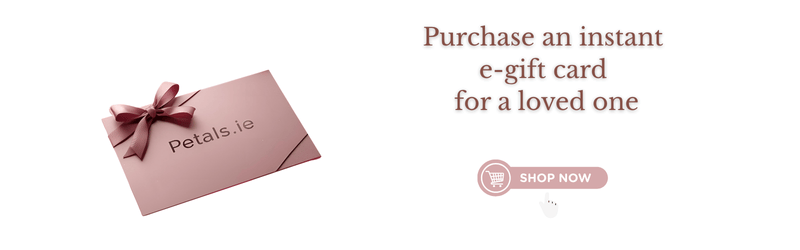 purchase-a-gift-voucher-for-a-loved-one-today.-can-be-used-in-store-and-online-1-.png