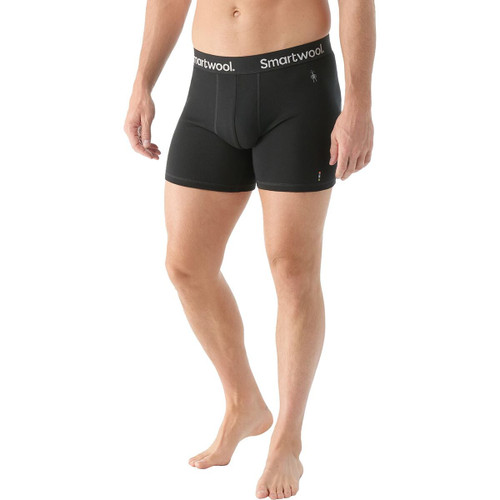 Everyday Merino Boxer Brief - Men's SWLZ974