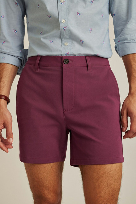 The Chino Short 2.0 SHORT00085-crushed violet