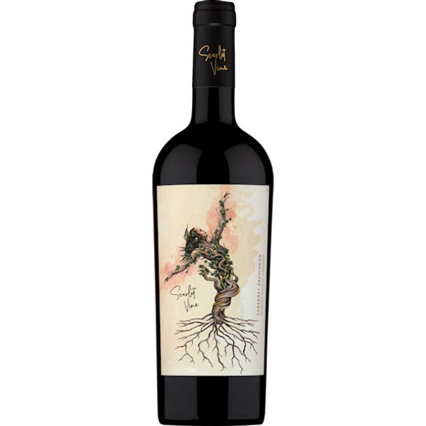 Scarlet Vine Selected Hillside Vineyards Valle de Maipo Cabernet