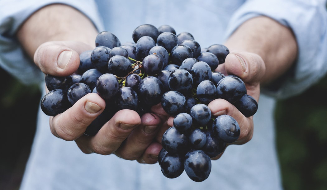The History of Napa Valley Wine - NapaCabs