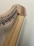Used Salvi Gaia Lever Harp