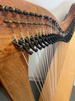 Pre-Owned Dusty Strings FH36S Bubinga Lever Harp