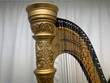 Pre-Owned Lyon & Healy Style 17 Ebony Bronze SN10919