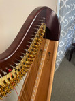 Pre-Owned Lyon & Healy Chicago Petite 40 Mahogany SN 72530