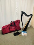 Pre-Owned Dusty Strings Boulevard Classic Lever Harp