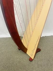 LIKE NEW Pre-Owned Salvi Donegal Lever Harp