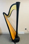 Pre-Owned Salvi Aurora Ebony SN 8307