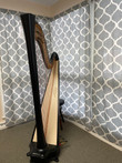 Pre-Owned Salvi Daphne 47S Custom Ebony