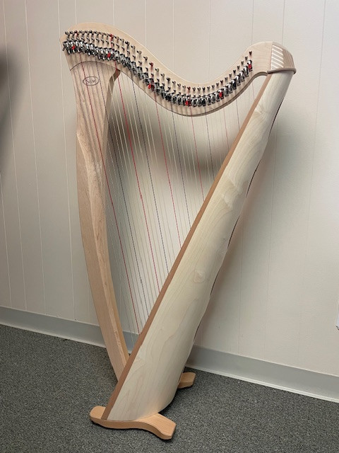 Used Salvi Gaia Lever Harp