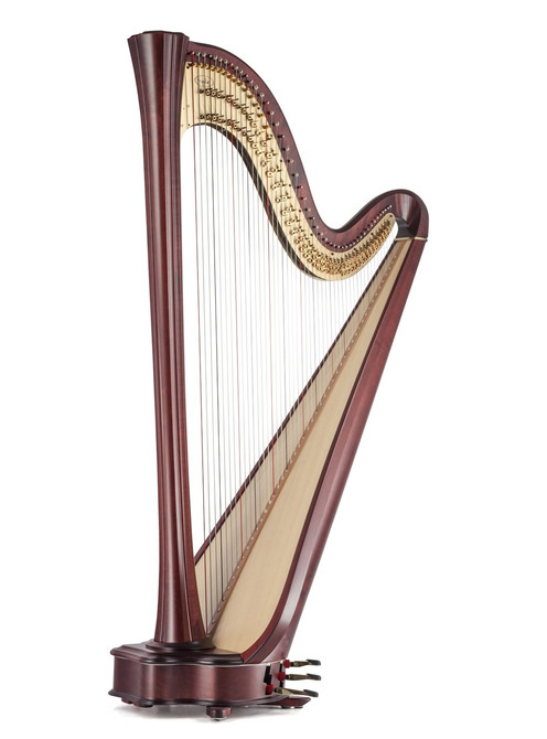 Daphne 47 Extended Daphne 47 Extended