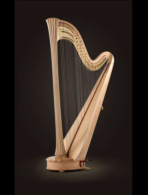 Style 2000 Concert Grand Electroacoustic Style 2000 Concert Grand Electroacoustic
