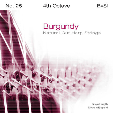 弦楽器 Burgundy Natural Gut Harp Strings Burgundy 4th Octave B - Vanderbilt Music Company